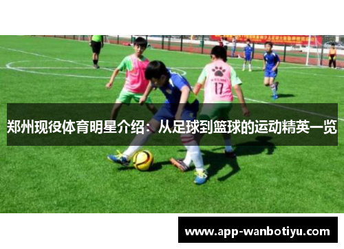 郑州现役体育明星介绍：从足球到篮球的运动精英一览